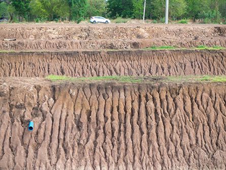 Erosion Control