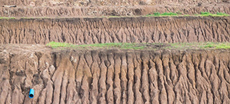 Erosion Control